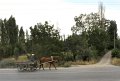 06 e_DSC_0177